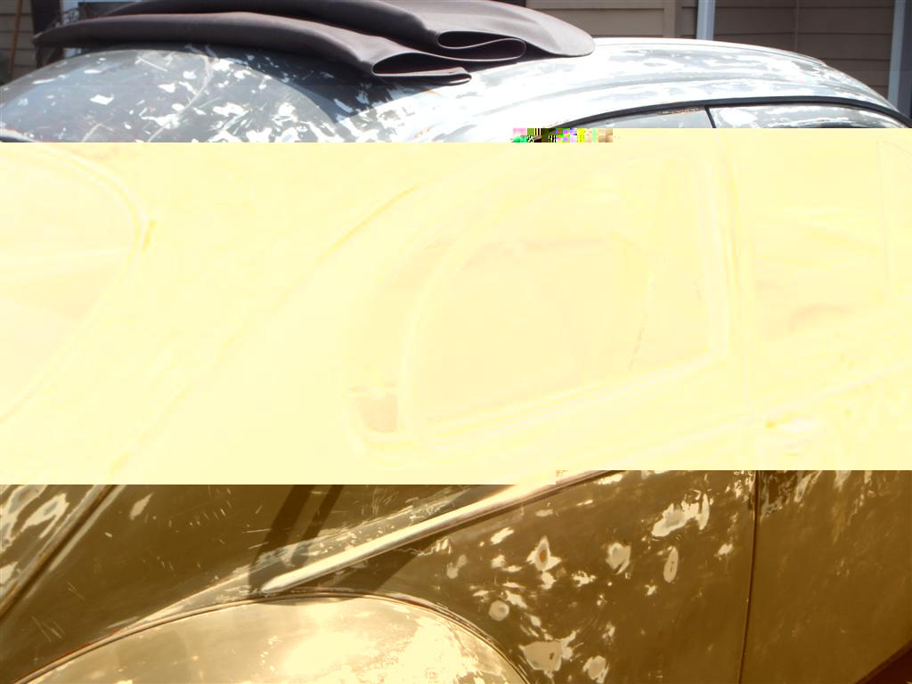 DSCF9713 (Large).JPG