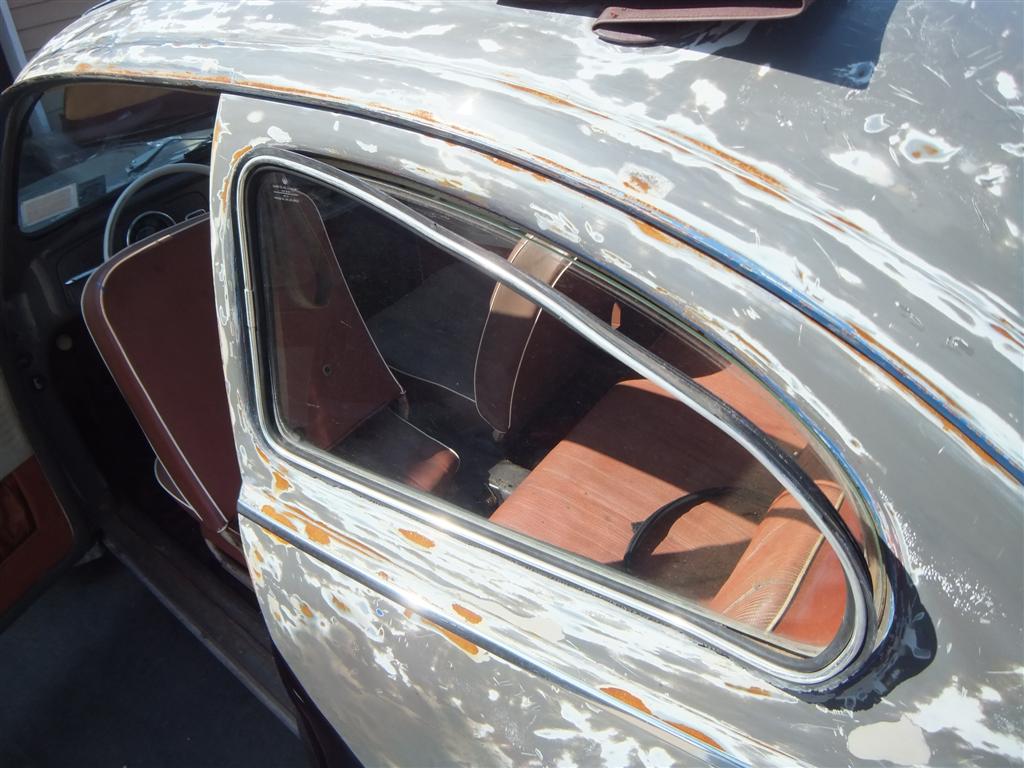 DSCF9695 (Large).JPG