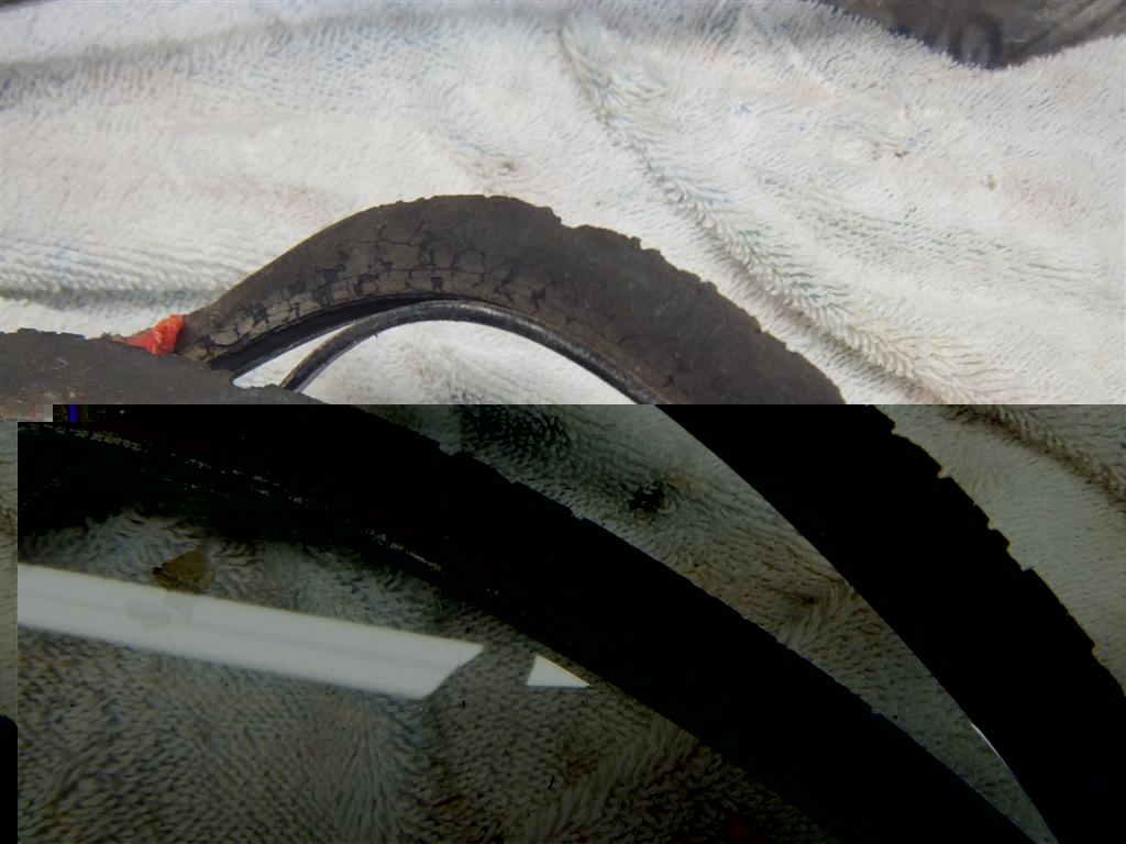 DSCF3832 (Large).JPG